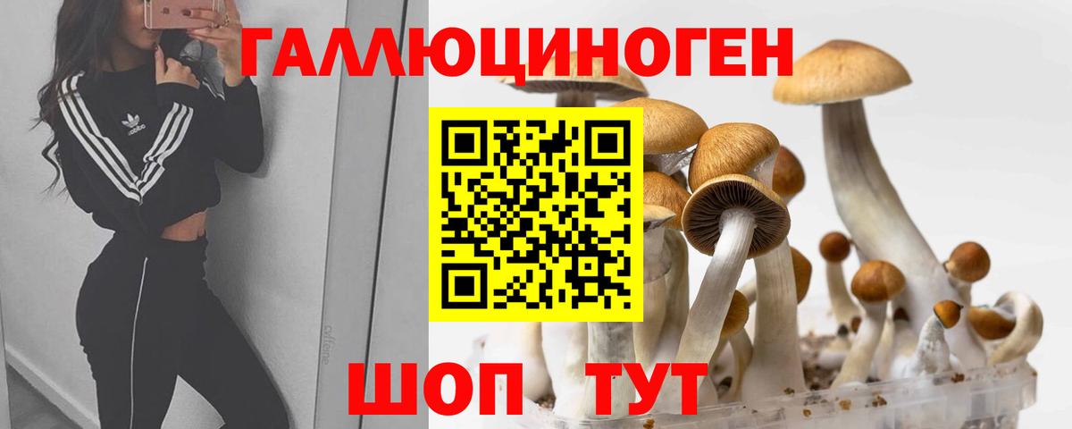 Галлюциногенные грибы ЛСД  Вход с VPN  Псилоцибиновые грибы прущие грибы  Сыктывкар 